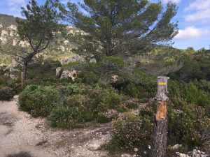 Cirque_de_Mourèze